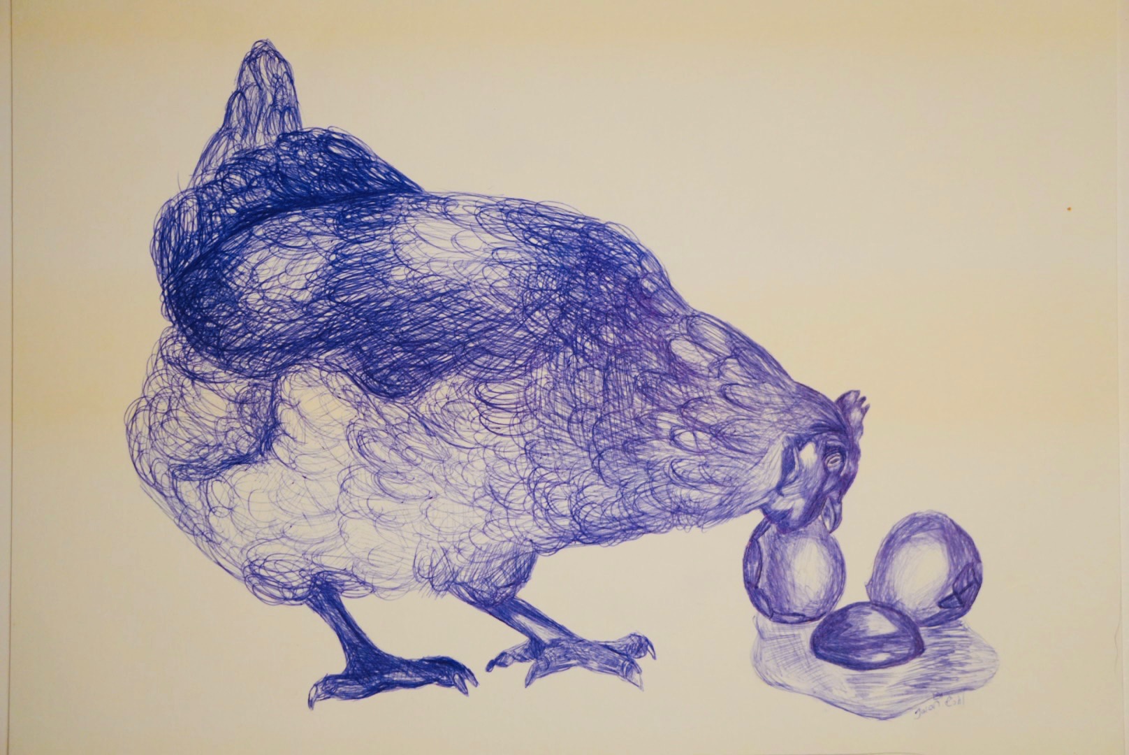 Huhn und Küken — Kugelschreiber auf Papier, 29,7 x 42,0 cm von Jaron Röhl